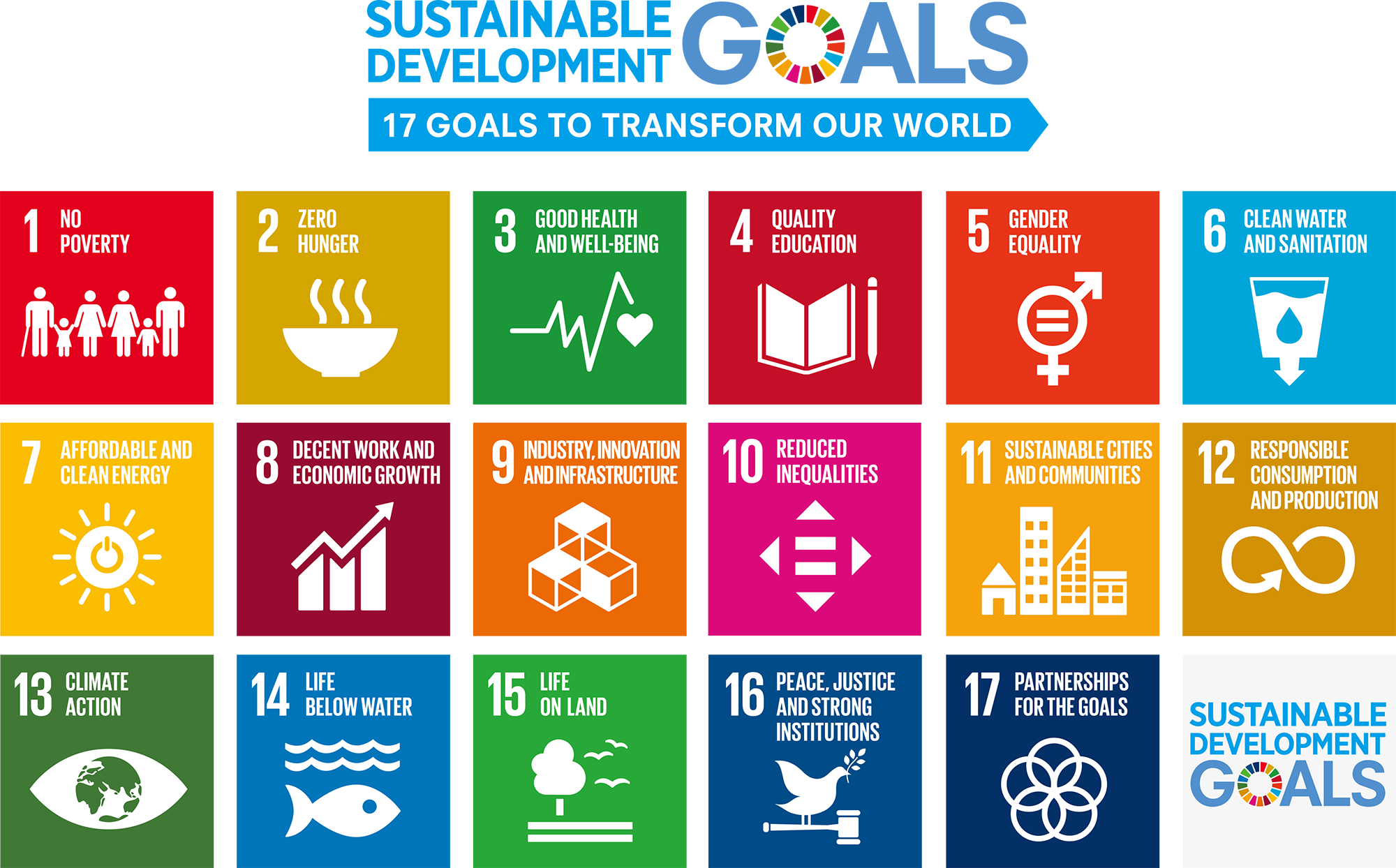 A call to action on the UN SDGs for Young Academies